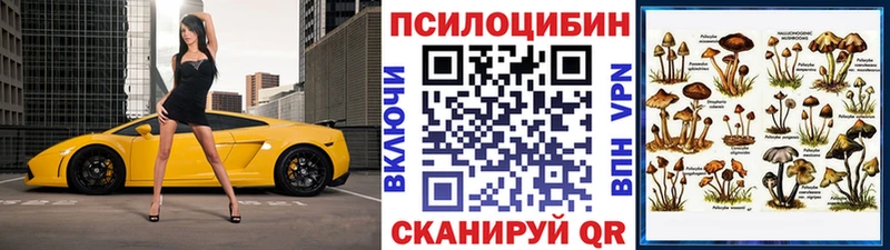 Купить закладки  Суровикино  Псилоцибиновые грибы Cubensis 